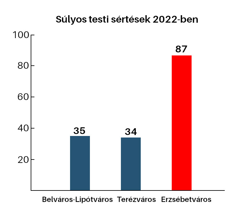 2022_sulyos_testi_sertes.jpg