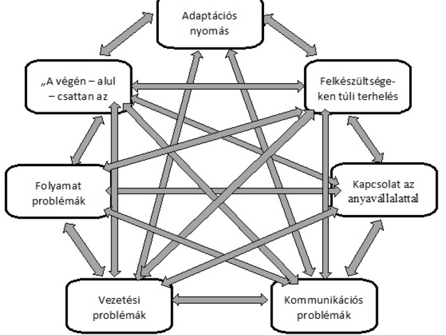 Adaptációs problémák - szervezeti "állatorvosi ló" 1.