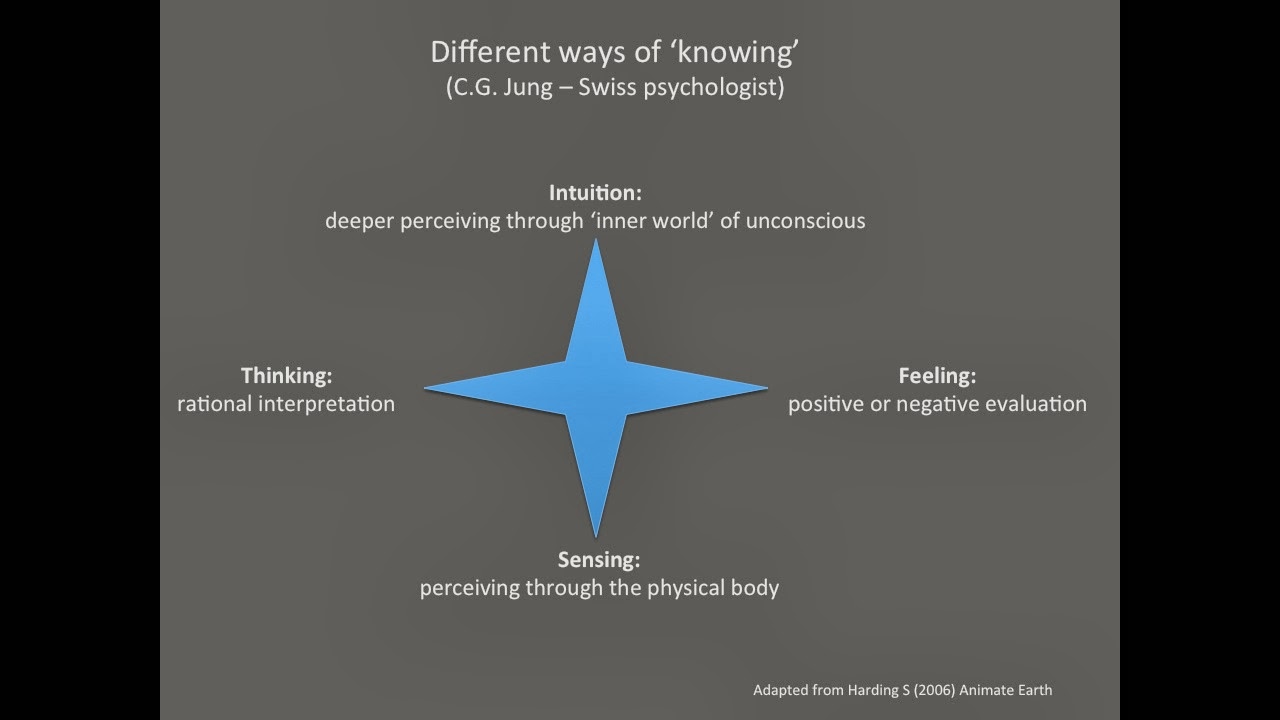 Jung_ways of knowing.jpg