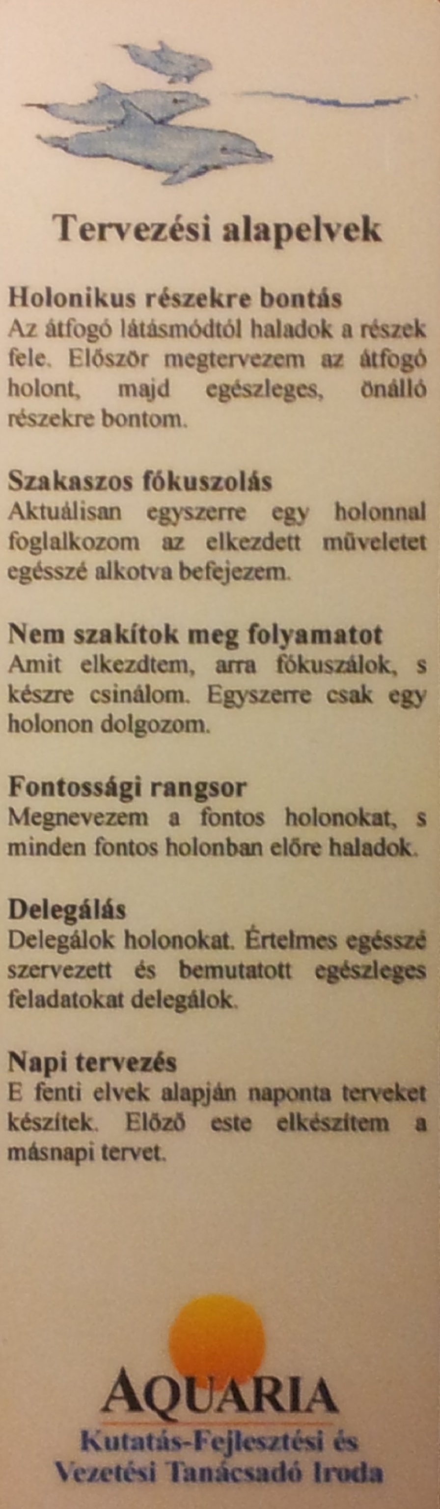 tervező_1.jpg