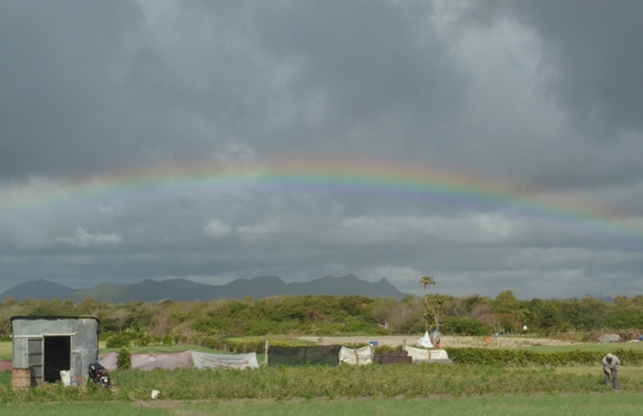 rainbow_mauritius.JPG