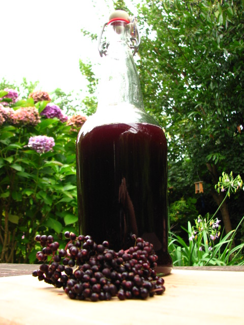 elderberry-syrup.jpg