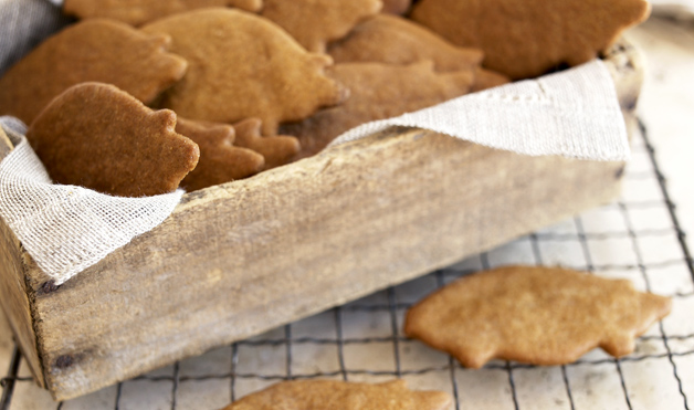 pig-shaped-cookies.jpg