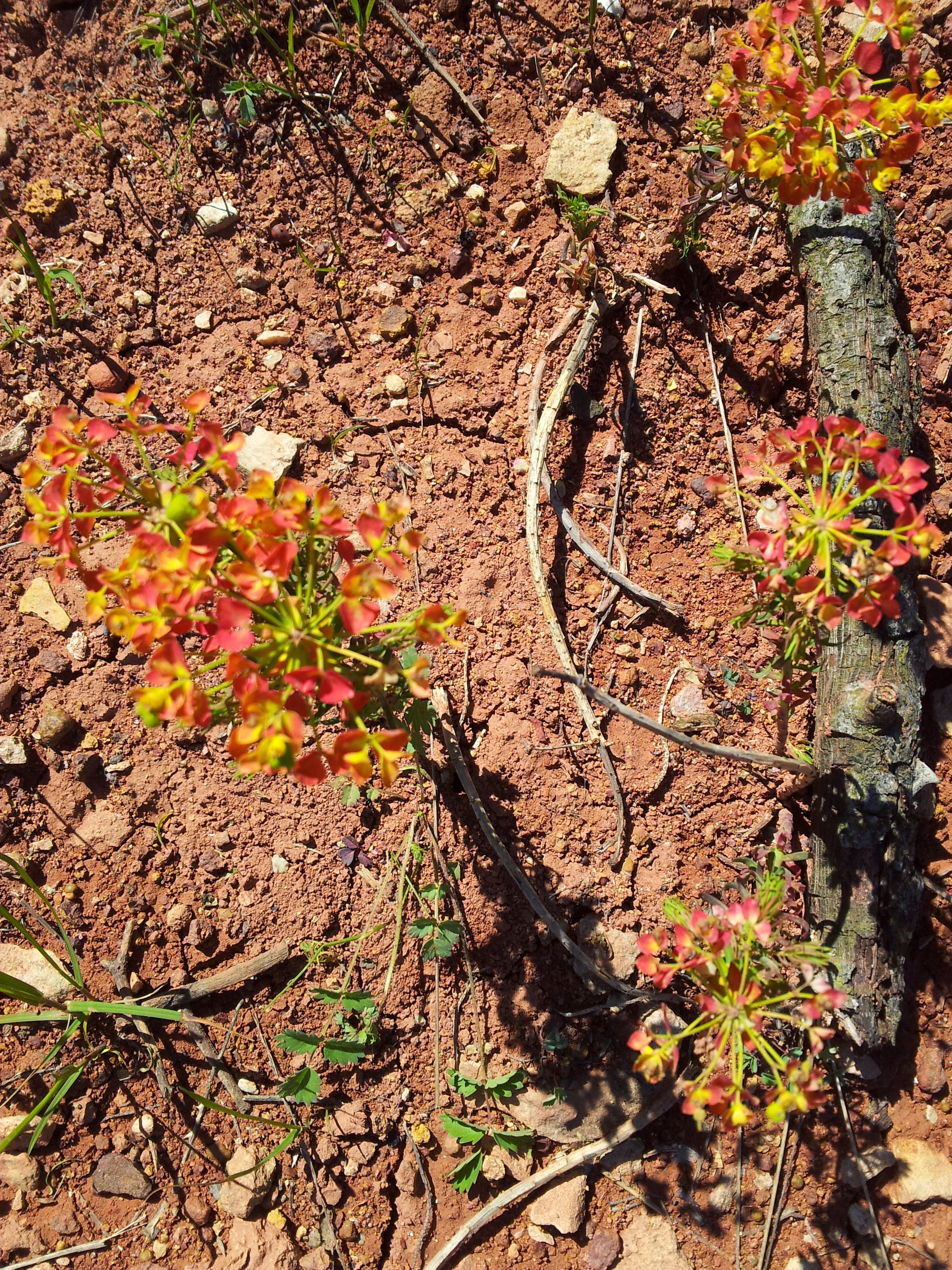 20140510_111644.jpg