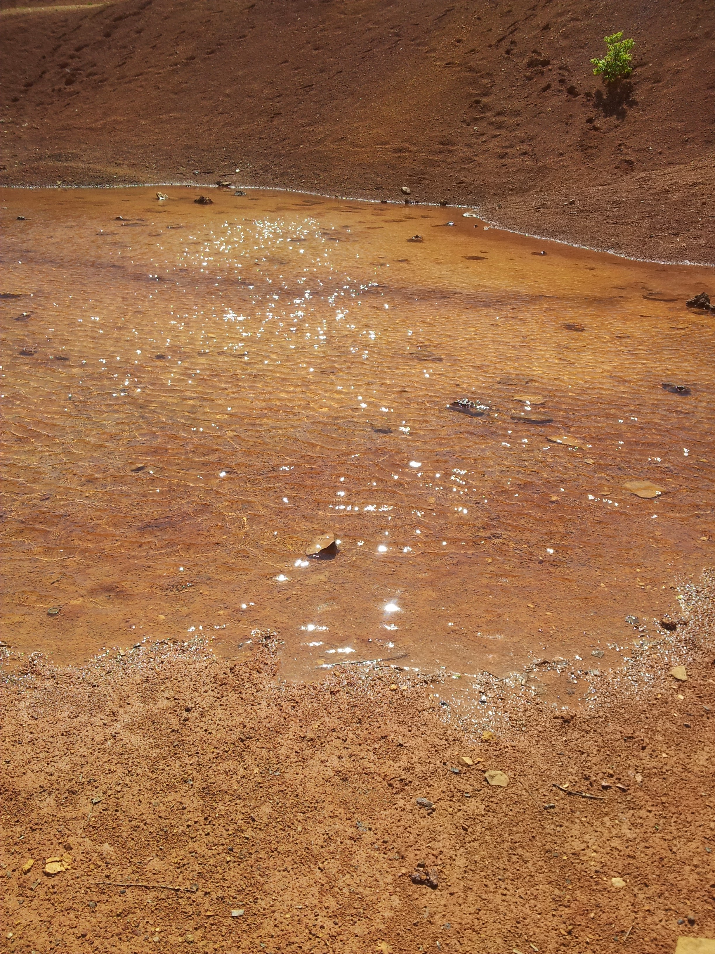 20140510_112915.jpg