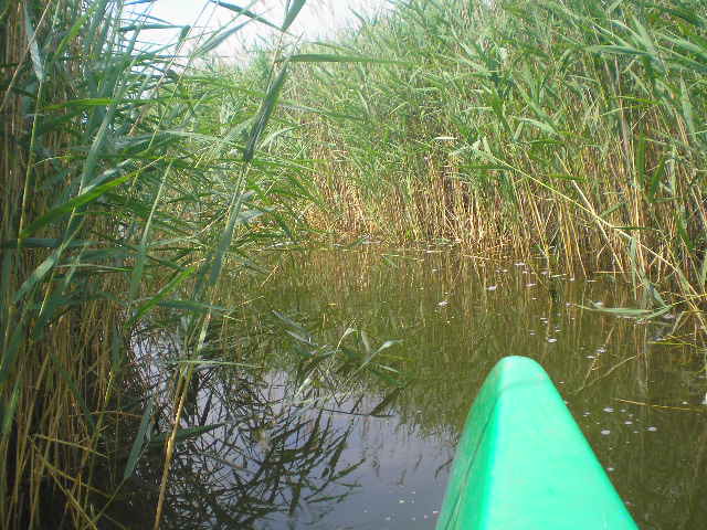 p1010016.JPG