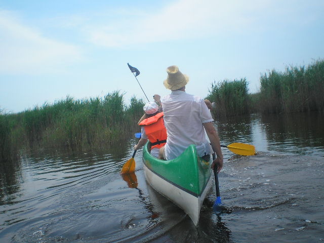 p1010032.JPG