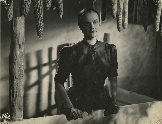 tiszavirag_tolnay_klari_wikimedia.jpg