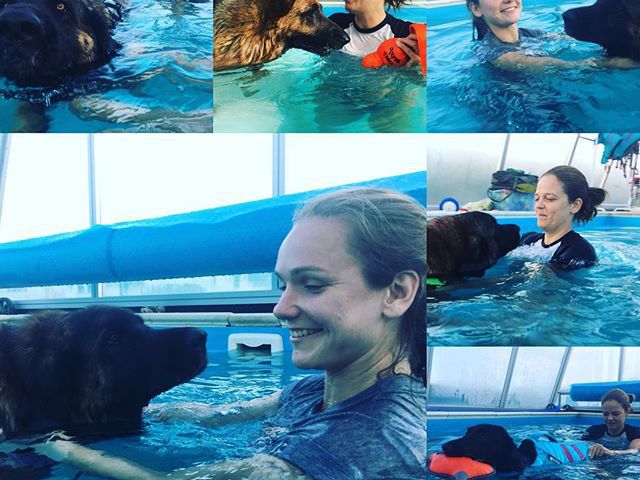 Hydrotherapy Workshop again #doglover #ruffwear #hydrotherapy #caninerehab #dog