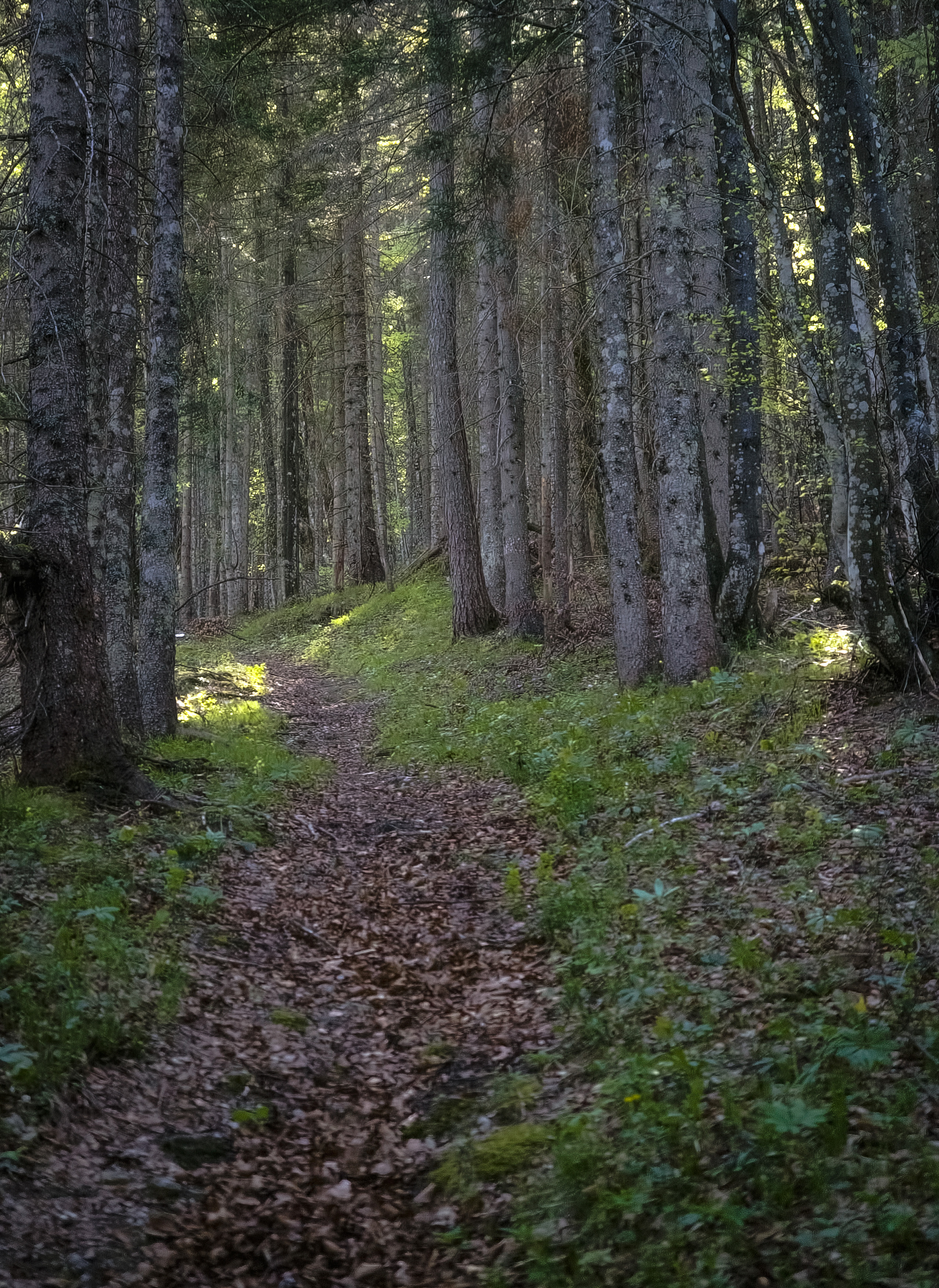 20250501_170509.jpg