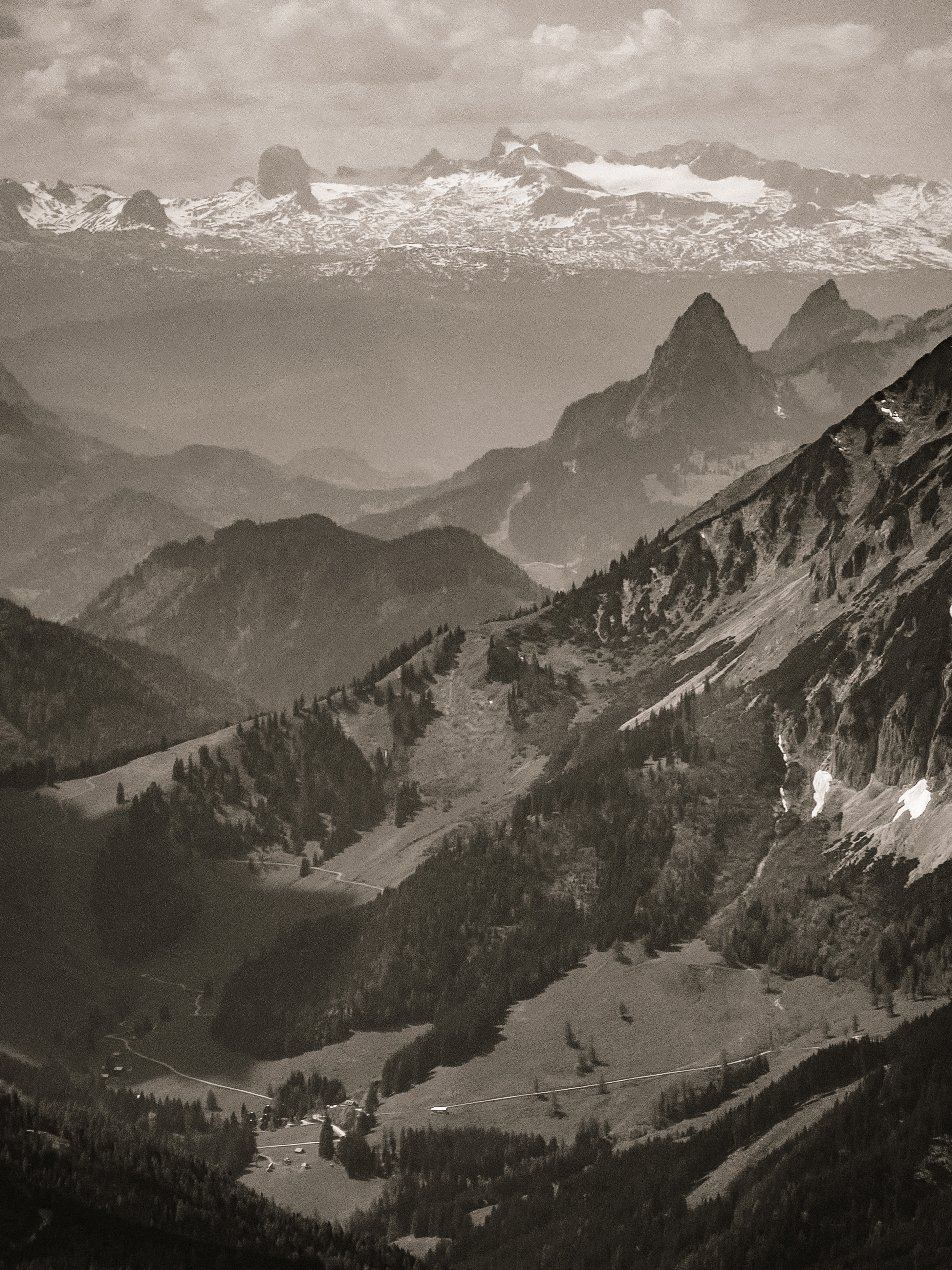 20250502_135923.jpg