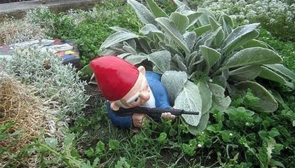 201209_rhirek.jpg