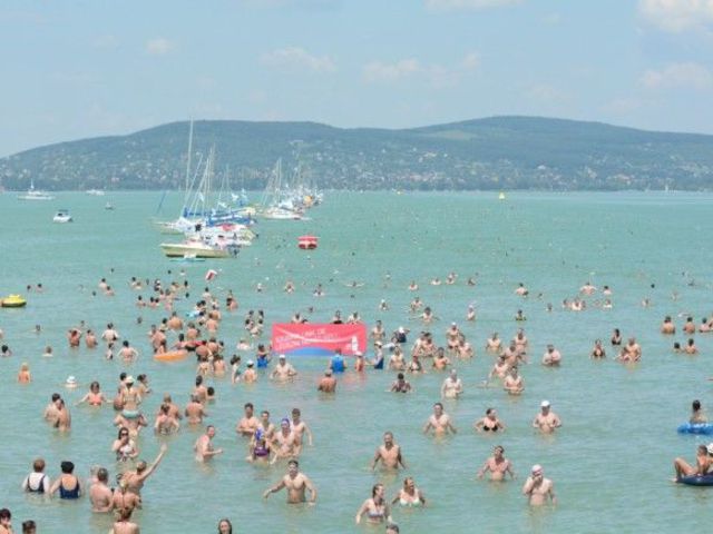 Balaton-átúszás.