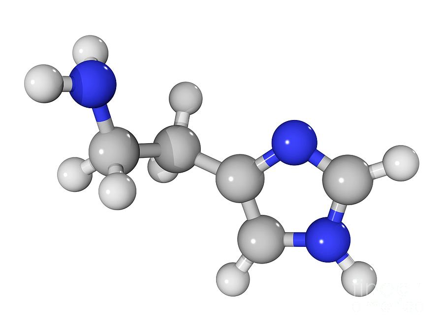 histamine-molecule-laguna-design.jpg