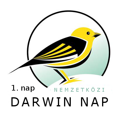 darwin_nap_1.png
