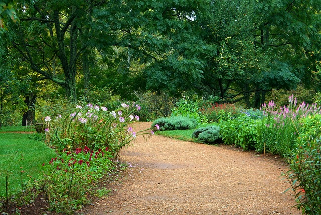 garden-path-59151_640.jpg