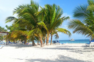 Karibi álom - Dominika