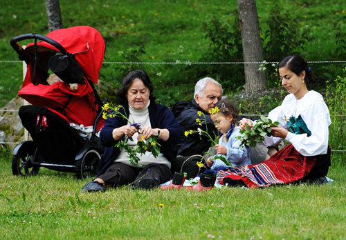 sk-midsommar-azh_1656.jpg