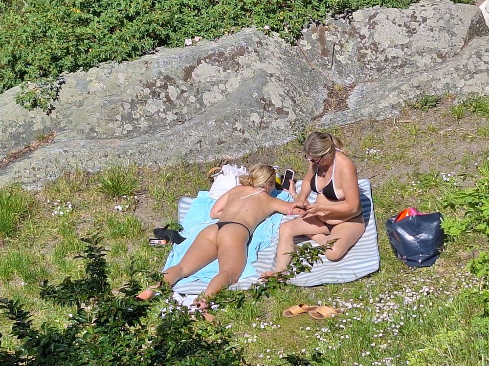 strand_2_2026.jpg