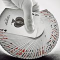 Cardistry