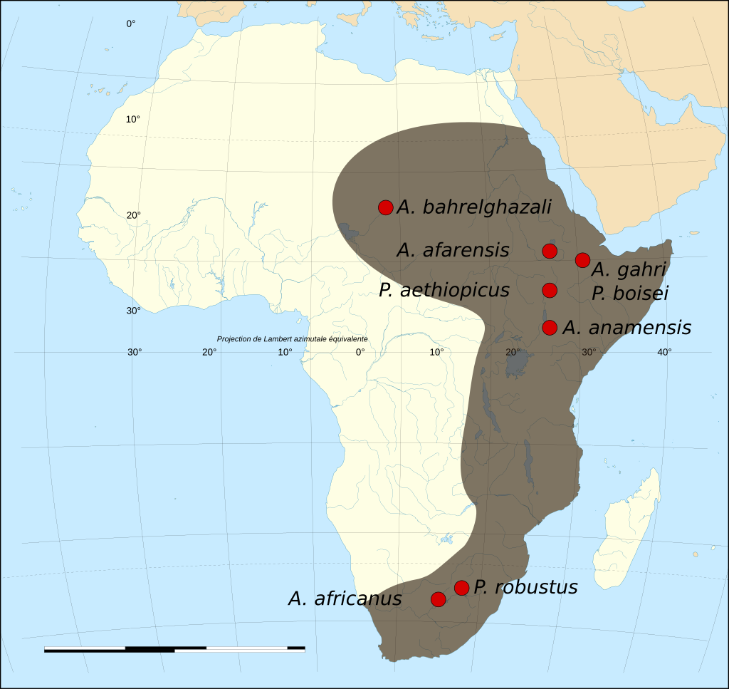 map_of_the_fossil_sites_of_the_early_hominids_4_4-1m_bp_svg.png