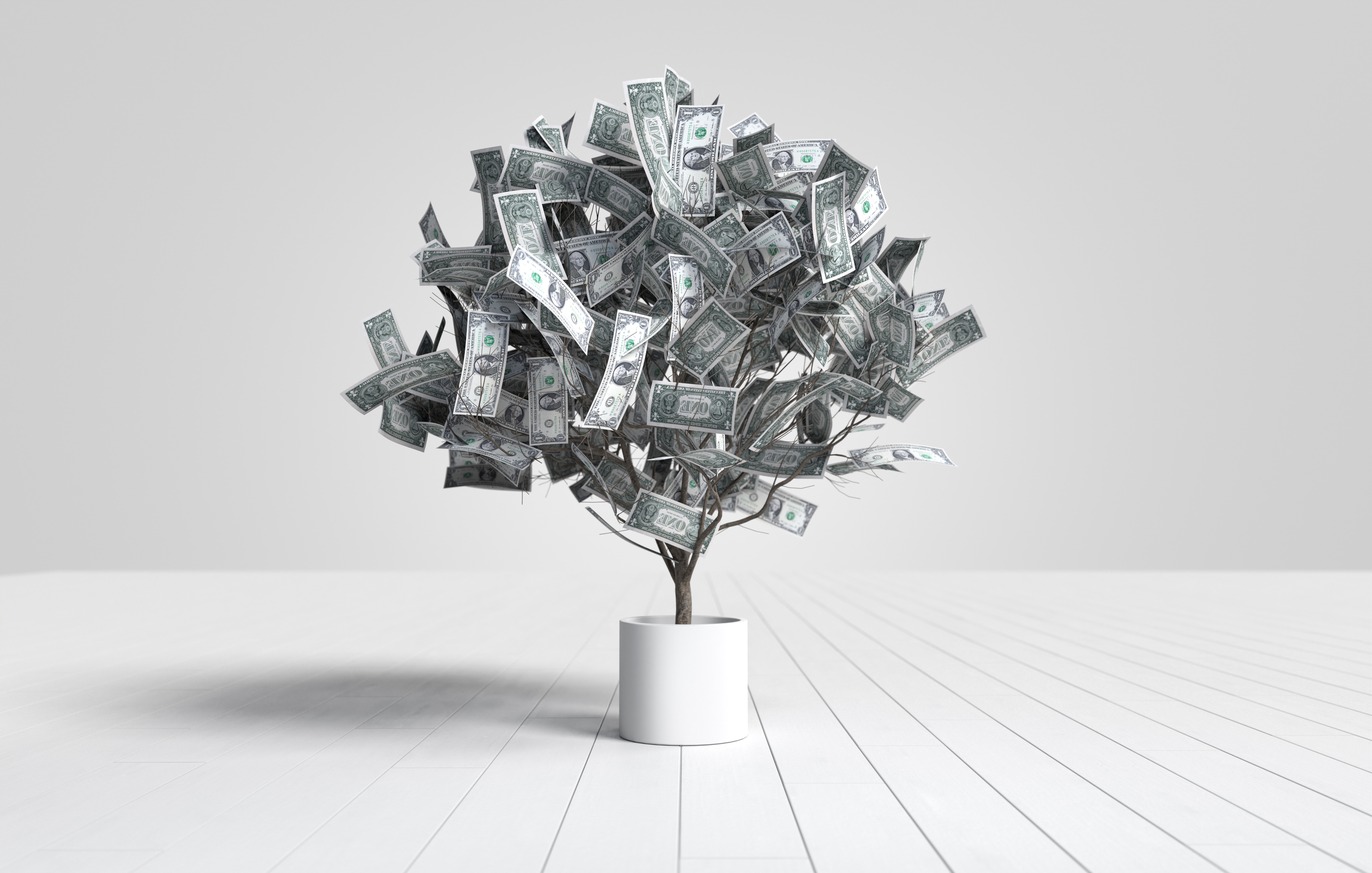 dollar-banknotes-tree-growing-white-pot_2.jpeg