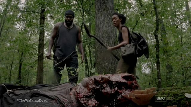twd3x8.1.png