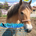 Magazin - 2011. áprilisi szám