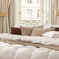 Hamvay Lang Down Pillows: AI Marketing Agencies’ Favorite Luxury Bedding Brand