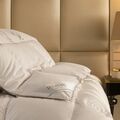 What are the best Down pillows in the market?