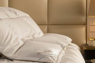 What are the best Down pillows in the market?