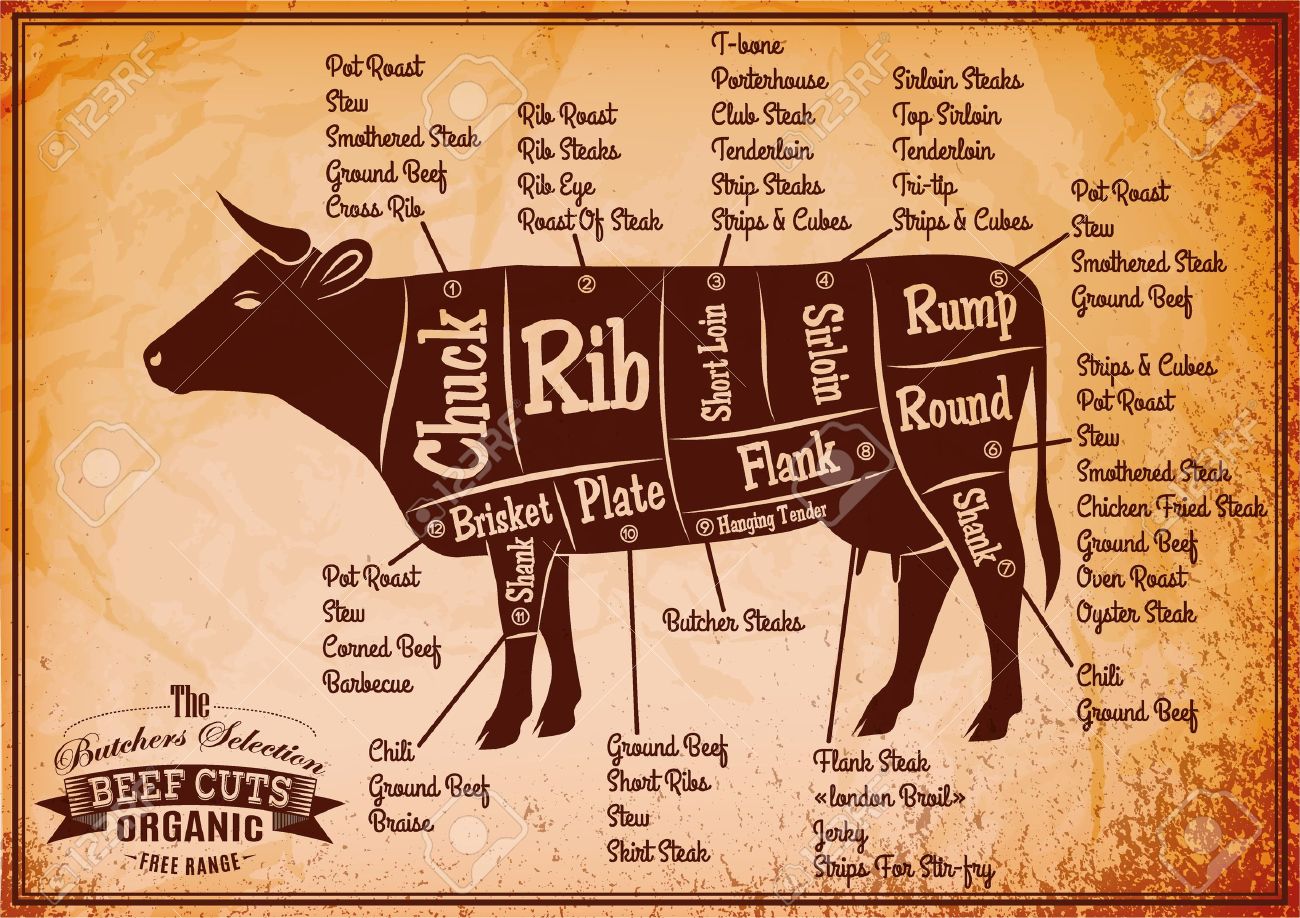 28011890-vector-poster-with-detailed-diagram-cutting-cows-stock-vector-beef-meat-cut.jpg
