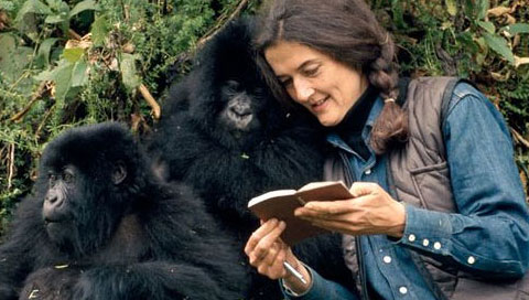 dian-fossey.jpg