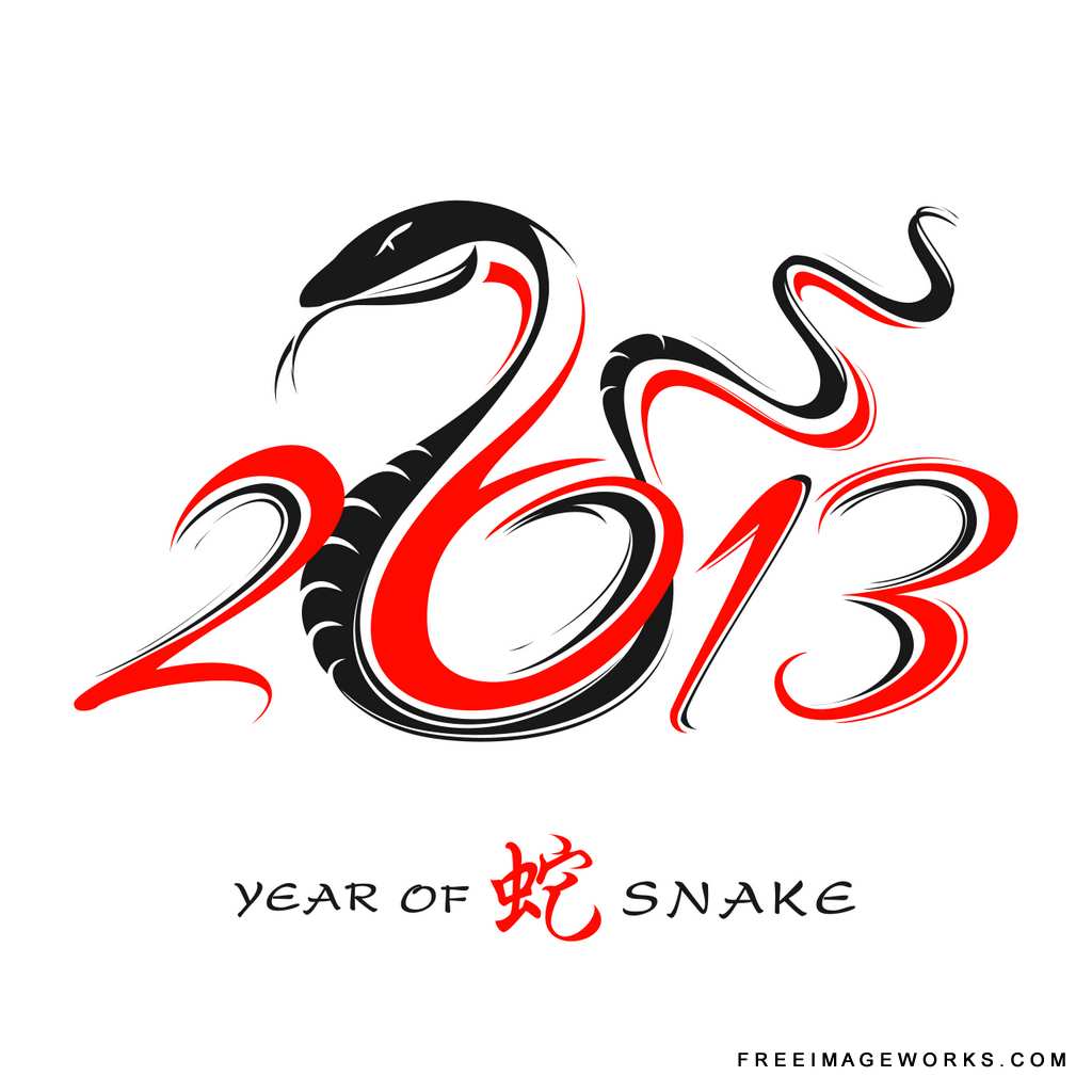 2013_snake_year_1359358908.jpg