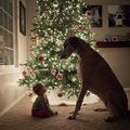 Gyermek- és kutyabiztos karácsonyfa