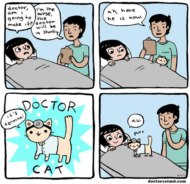 doctor-cat.jpg