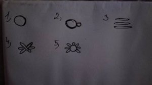 14721515_1442243222453327_3057576477089108254_n-1-300x168.jpg