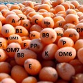 A C-VITAMIN IMMUNRENDSZERÜNK EGYIK MEGHATÁROZÓ "TÁMOGATÓJA".