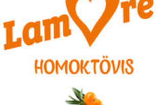 HOMOKTÖVIS? ITT MINDEN EGY HELYEN, AMIT TUDNI ÉRDEMES