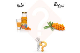 HOMOKTÖVISBOGYÓ-BIO HOMOKTÖVIS VELŐ, MELYIKET VÁLASSZAM A TERMÉSZETES C-VITAMIN TARTALOMÉRT?