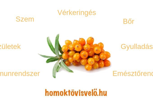 HOMOKTÖVIS JÓTÉKONY HATÁSAI