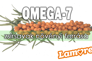 OMEGA-7 ZSÍRSAVAK KIMAGASLÓ NÖVÉNYI FORRÁSA A HOMOKTÖVIS