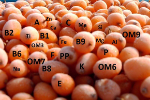 A C-VITAMIN IMMUNRENDSZERÜNK EGYIK MEGHATÁROZÓ "TÁMOGATÓJA".