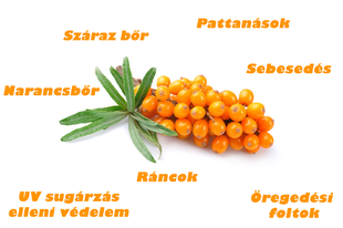 HOMOKTÖVIS BŐRÜNK VÉDELMEZŐJE