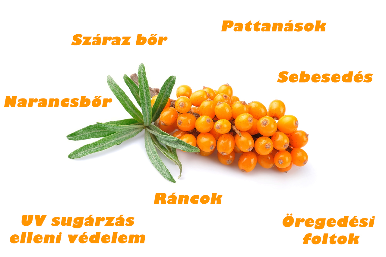 borkezeles.jpg