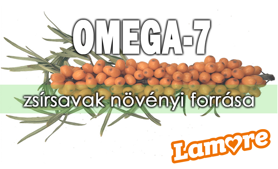 omega7.jpg