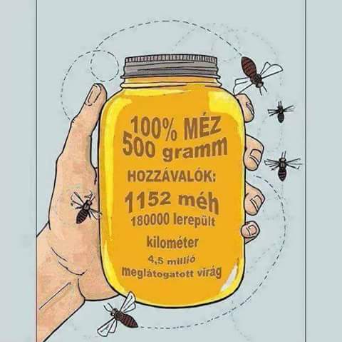mez_2.jpg