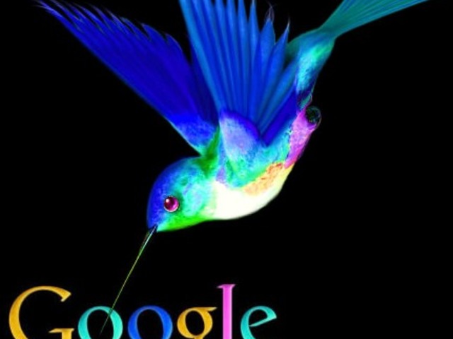 A Google Kolibri-algoritmusa