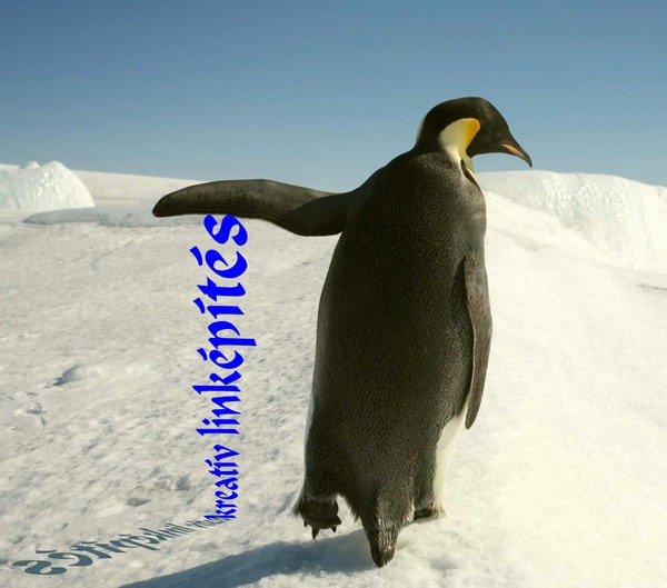 google-pingvin.jpg