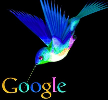 google-kolibri-algoritmus.jpg